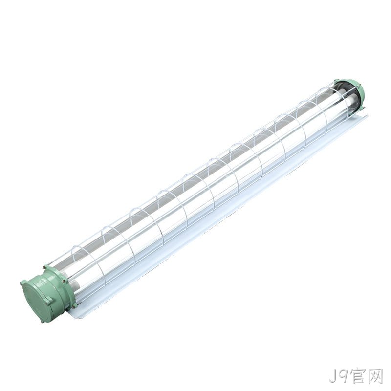 Z03系列防爆支架灯
